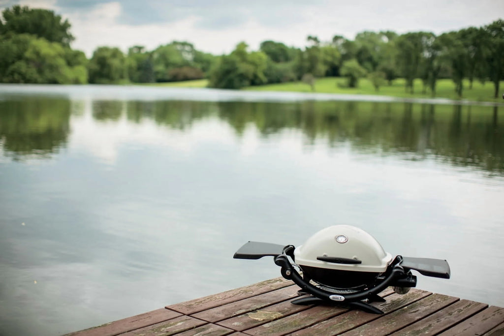 Weber Q1200 1 - Burner Titanium Gas Grill