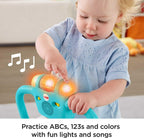 Fisher - Price Bounce and Spin Puppy