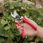 Felco 2 Classic Hand Pruner