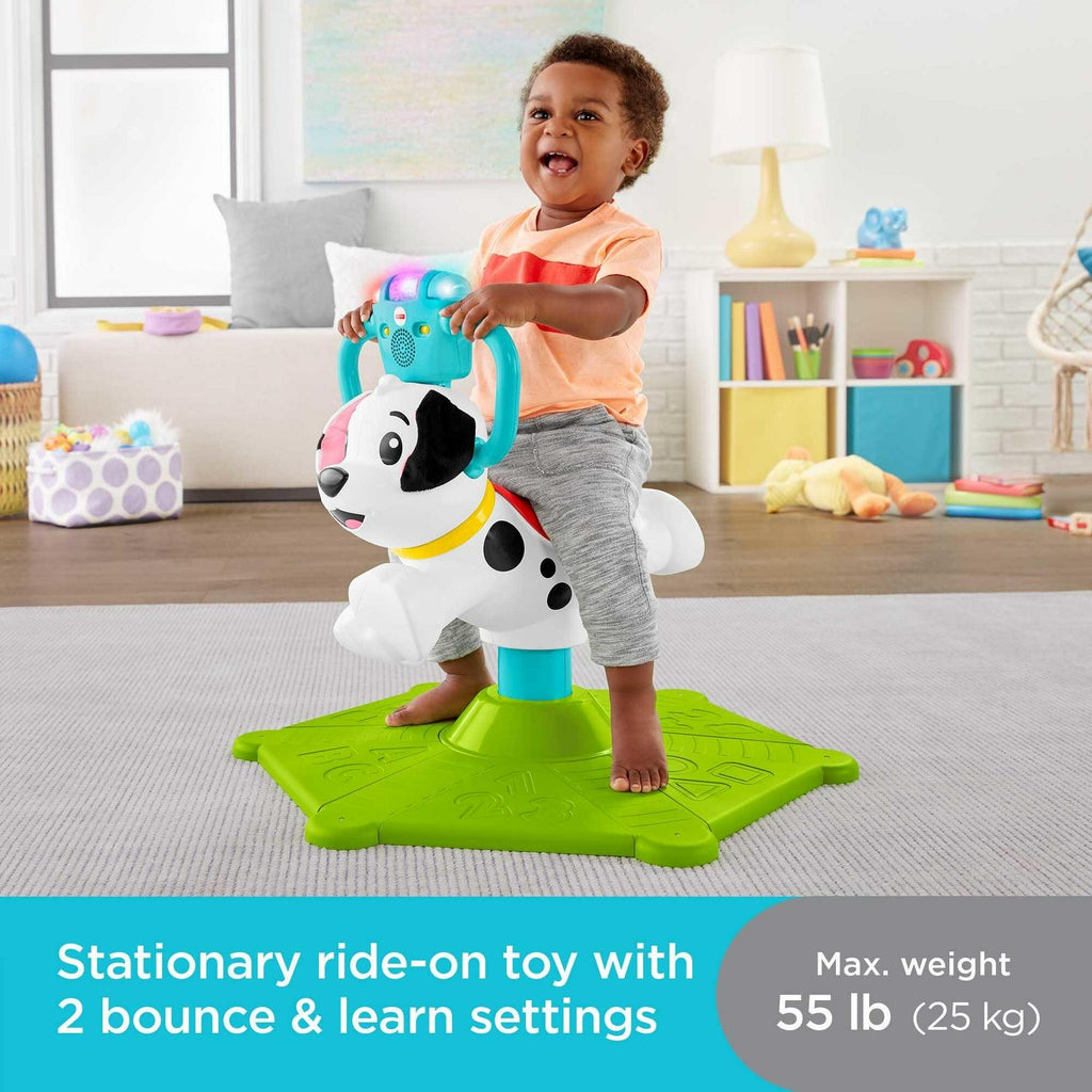 Fisher - Price Bounce and Spin Puppy