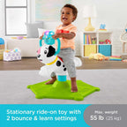 Fisher - Price Bounce and Spin Puppy