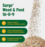 The Andersons Professional Surge Weed and Feed 16 - 0 - 9 Post - Emergent Weed Control and Fertilizer - Covers up to