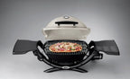 Weber Q1200 1 - Burner Titanium Gas Grill