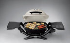 Weber Q1200 1 - Burner Titanium Gas Grill