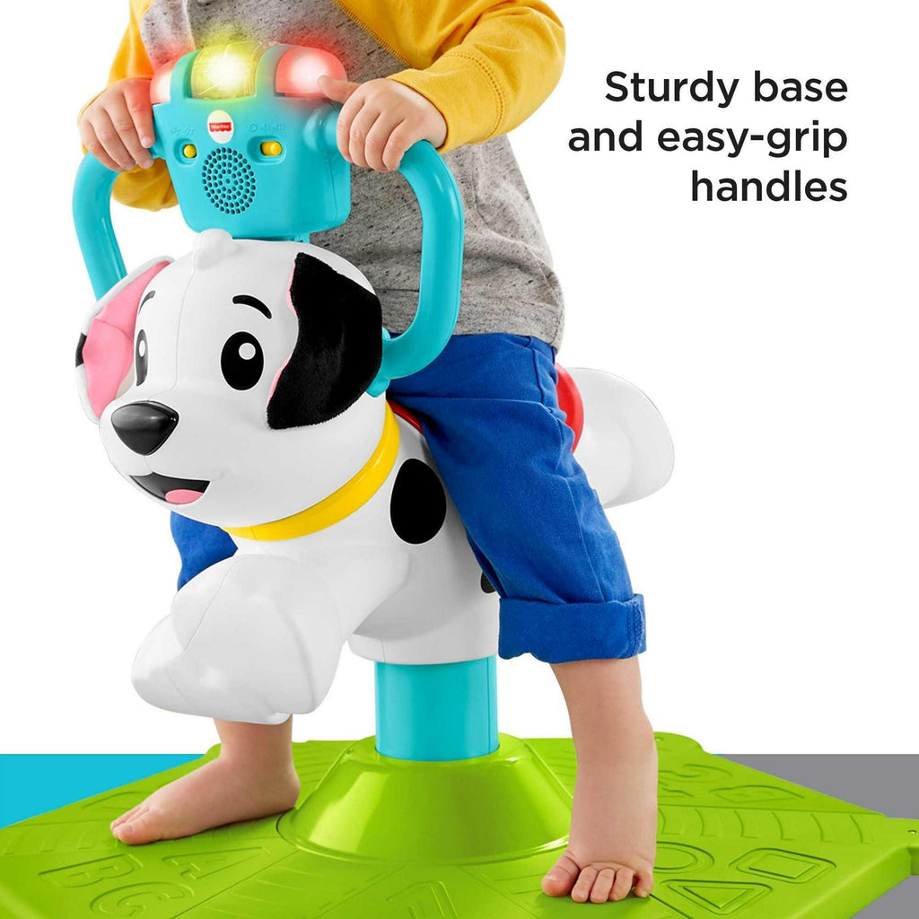 Fisher - Price Bounce and Spin Puppy
